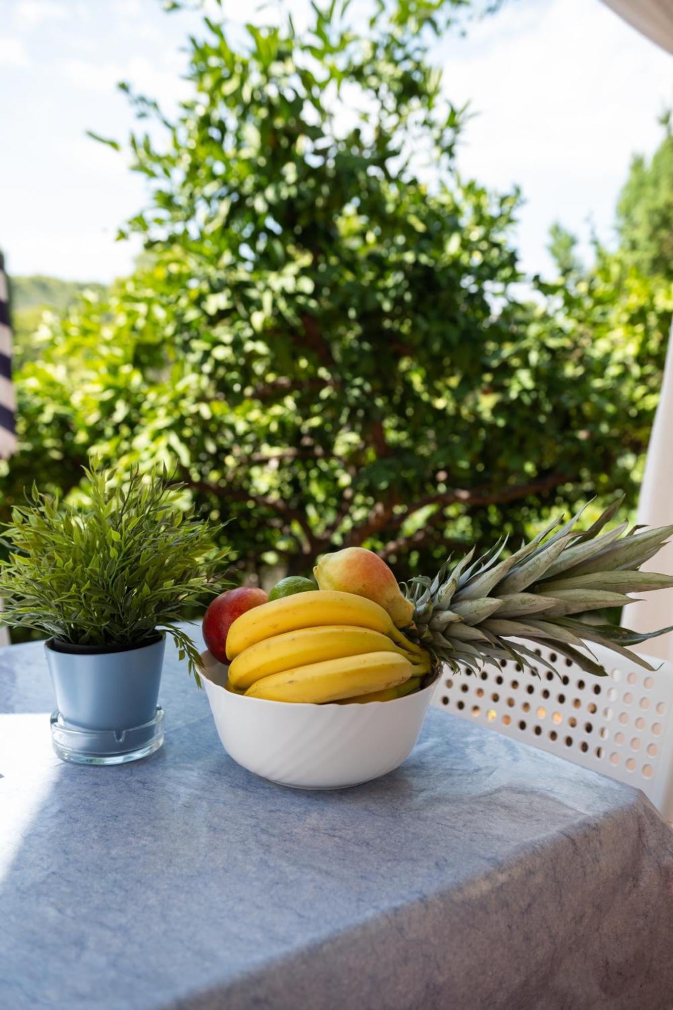 Apartments Solta Rogač Zewnętrze zdjęcie